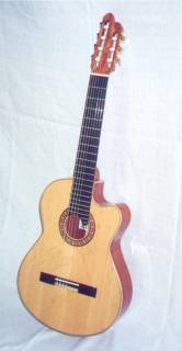 7 String Fir Cutaway